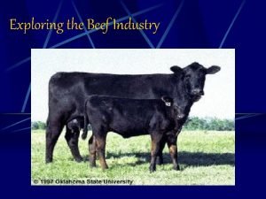 Beef cattle parts