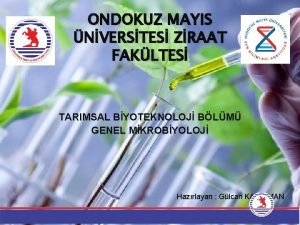 ONDOKUZ MAYIS NVERSTES ZRAAT FAKLTES TARIMSAL BYOTEKNOLOJ BLM