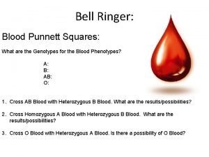 Bell Ringer Blood Punnett Squares What are the