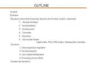 Nuclear membrane