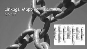 Linkage Mapping Part 1 PBG 430 Linkage Linkage