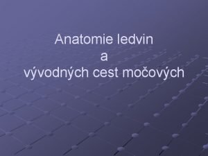 Anatomie ledvin a vvodnch cest moovch Radiodiagnostika ledvin