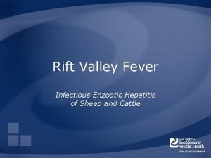 Rift Valley Fever Infectious Enzootic Hepatitis of Sheep