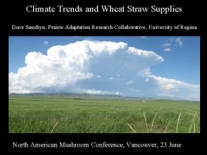 Climate Trends and Wheat Straw Supplies Dave Sauchyn