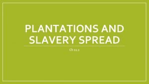 PLANTATIONS AND SLAVERY SPREAD Ch 11 2 Plantations