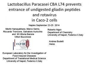 Lactobacillus paracasei cba l74