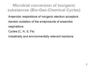Sulfate reducing bacteria Sulfate reducing bacteria