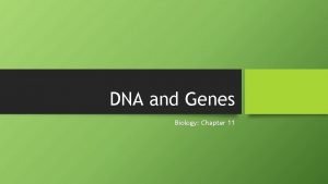 Chapter 11 dna and genes
