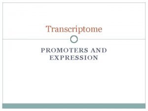 Transcriptome PROMOTERS AND EXPRESSION The transcriptome transcriptome is