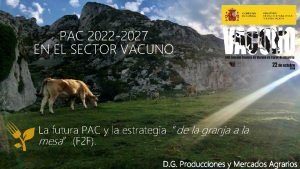 PAC 2022 2027 EN EL SECTOR VACUNO La