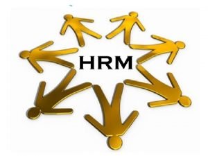 Operative functions of hrm
