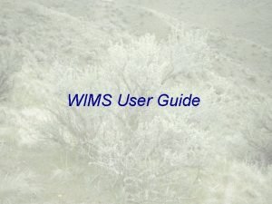 Wims user guide