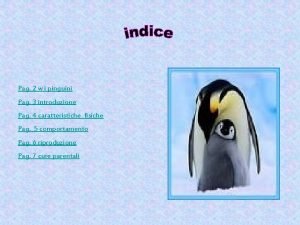Caratteristiche pinguino
