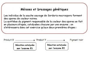 Mioses et brassages gntiques Les individus de la