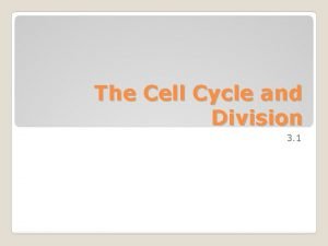 Cell cycle in order