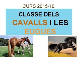 CURS 2015 16 CLASSE DELS CAVALLS I LES