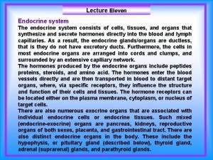 Lecture Eleven Endocrine system The endocrine system consists