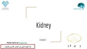 Coverings of kidney