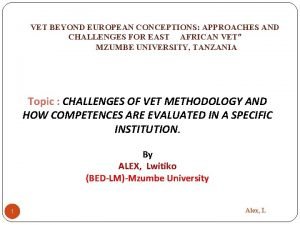 VET BEYOND EUROPEAN CONCEPTIONS APPROACHES AND CHALLENGES FOR