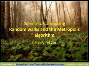 Scientific Computing Random walks and the Metropolis algorithm