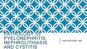 PATHOLOGY OF PYELONEPHRITIS NEPHROLITHIASIS AND CYSTITIS HALA KFOURY