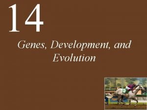 14 Genes Development and Evolution Chapter 14 Genes