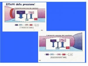 Pressione oncotica e osmotica Pressione oncotica e osmotica