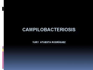 CAMPILOBACTERIOSIS YURY ATUESTA RODRGUEZ Bacilo Gram negativo Microaerfilo