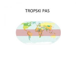 TROPSKI PAS Delimo ga na podnebja Ekvatorialno 24C