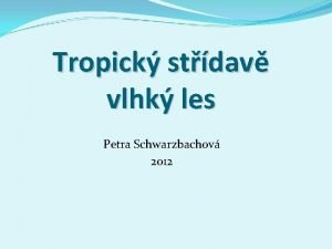 Tropick stdav vlhk les Petra Schwarzbachov 2012 Zdroj