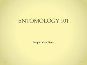 Entomology 101