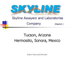 Skyline Assayers and Laboratories Company Espanol Tucson Arizona