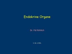 Endokrine Organe Dr Pl Rhlich 3 12 2019