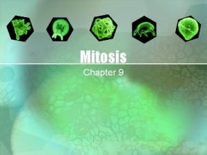 Mitosis Chapter 9 Cell Division process by which