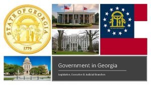 Government in Georgia Legislative Executive Judicial Branches General