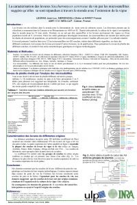 La caractrisation des levures Saccharomyces cerevisiae de vin