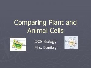 Comparing Plant and Animal Cells OCS Biology Mrs