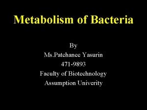 Metabolism meaning