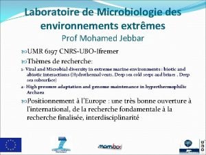 Laboratoire de Microbiologie des environnements extrmes Prof Mohamed
