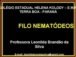 COLGIO ESTADUAL HELENA KOLODY E M P TERRA