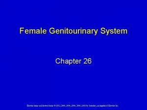 Female Genitourinary System Chapter 26 Elsevier items and