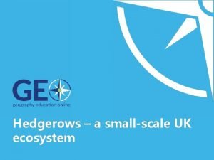 Hedgerows a smallscale UK ecosystem Getting started Youll