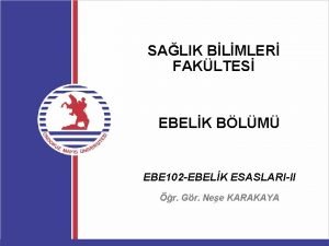 SALIK BLMLER FAKLTES EBELK BLM EBE 102 EBELK