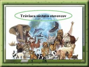 Krava traviaca sustava