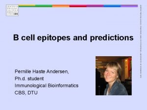 Pernille Haste Andersen Ph d student Immunological Bioinformatics