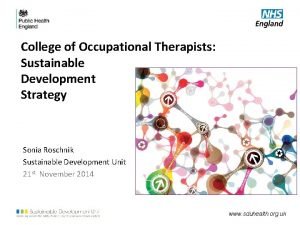 College of Occupational Therapists Sustainable Development Strategy Sonia