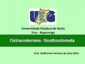 Universidade Estadual de Gois Unu Itapuranga Ostracodermes Gnathostomata