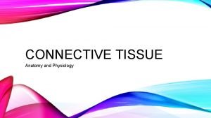 CONNECTIVE TISSUE Anatomy and Physiology CONNECTIVE TISSUE Functions