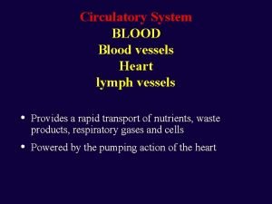 Circulatory System BLOOD Blood vessels Heart lymph vessels