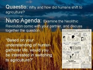 Quaestio Why and how did humans shift to